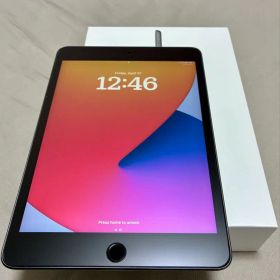 iPad mini5 64GB Wi-Fi スペースグレー 箱付き