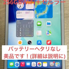美品 Apple iPadmini第5世代 Wi-Fi＋セルラー 256GB