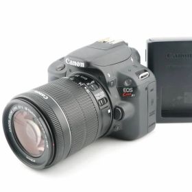 ★美品★ショット数4,519回★キヤノン CANON EOS Kiss X7 + EF-S 18-55mm F3.5-5.6 IS STM 充電器付★ W0418＃4778