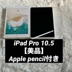 【早い者勝ち】iPad Pro 10.5 512GB 付属品多数！ 【すぐ発送】