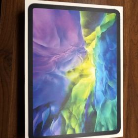 iPad Pro 11インチ シルバー 256GB