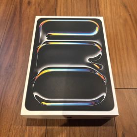 Apple iPad Pro 11インチ (M4) 256GB 本体のみ