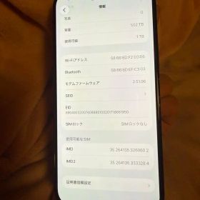 海外版 iPhone 16 Pro Max 1TB，美品，バッテリー100％