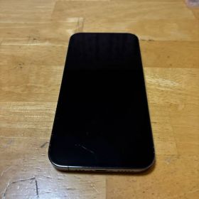 Apple iPhone 13 Pro シエラブルー 256GB