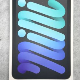 Apple iPad mini スペースグレー 本体