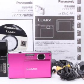 【美品】Panasonic LUMIX DMC-FP1 付属品多数