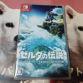ゼルダの伝説 ティアーズ オブ ザ キングダム
