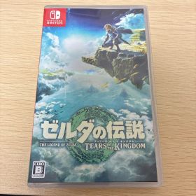 ゼルダの伝説 ティアーズ オブ ザ キングダム