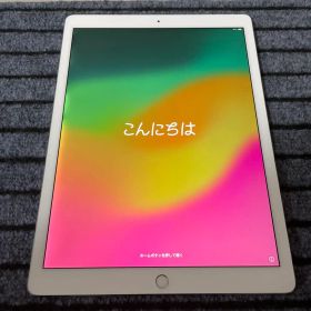 iPad Pro 12.9 第2世代 中古 11,000円 | ネット最安値の価格比較