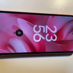 美品 Google Pixel 9a SIMフリー Googleストア購入