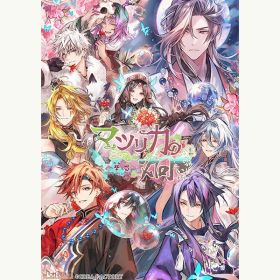 【新品】Switch マツリカの炯-kEi- 天命華燭伝【メール便】