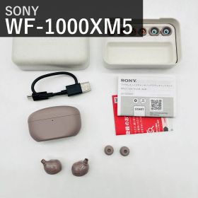 SONY ソニー WF-1000XM5 スモーキーピンク ワイヤレスノイズキャンセリングイヤホン Bluetooth LDAC対応 IPX4防滴 マルチポイント VGP2025金賞 YY2963