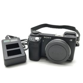 美品 SONY ソニー α NEX-6 ボディ APS-C デジタル ミラーレス 一眼レフ カメラ ブラック 動作確認済み 充電器付き c290