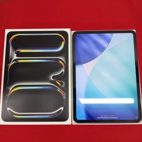 美品 iPad PRO M4 本体 256GB WiFi ブラック 11インチ アイパッドプロ
