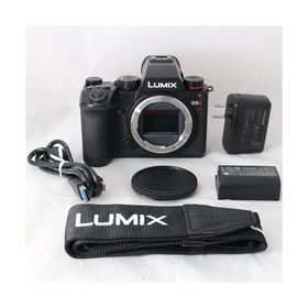 パナソニック(Panasonic) パナソニック フルサイズミラーレス一眼カメラ S5M2 ボディ ブラック DC-S5M2