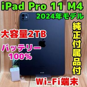 Wi-Fi iPad Pro 11インチ M4 第6世代 2024年 437