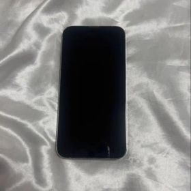 iPhone13pro 1TB SIMフリー