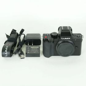 [美品 | シャッター数1,635回] Panasonic LUMIX DC-G100 [ボディ] | マイクロフォーサーズマウント