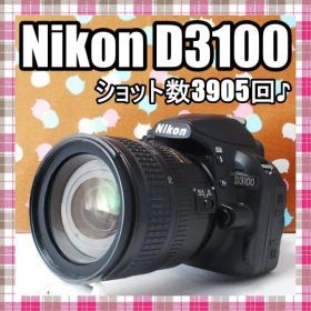 ✨お買い得✨ショット数3905回✨Nikon D3100 レンズセット