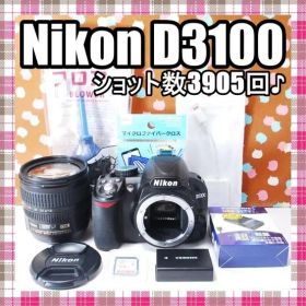 ✨ショット数3905回✨お買い得✨Nikon D3100 レンズセット