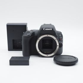キヤノン(Canon)のショット数4,243回 Canon キヤノン EOS Kiss X9 極上品(デジタル一眼)