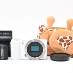 ★撮影枚数2,373枚★ ソニー α5100 ILCE-5100 #21900