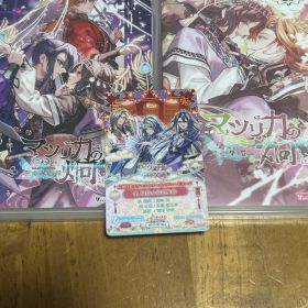 マツリカの炯-kEi- 天命胤異伝＆天命華燭伝 通常版Switchソフトセット