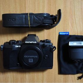 【美品】オリンパス E-M5 Mark II Limited Edition