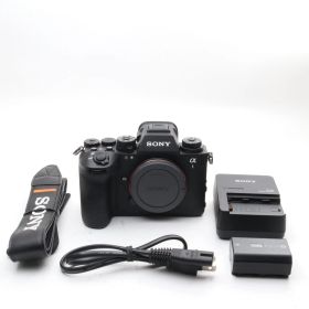 【シャッター回数：2000回】SONY α1 II ILCE-1M2 ボディ 〔SONY E マウント〕