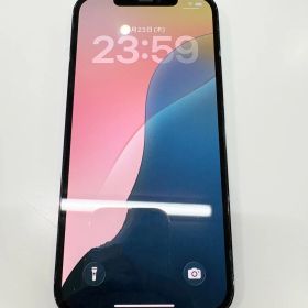 iPhone12promax 256GB