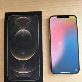 Apple iPhone12 ProMax 256GB