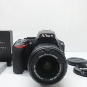 Nikon ニコン D5500 18-55mm F3.5-5.6 VR II