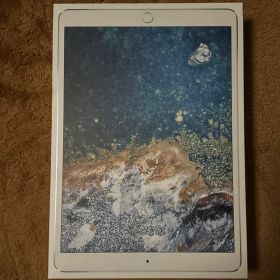 iPad Pro 10.5インチ 256GB Wi-Fi ジャンク品