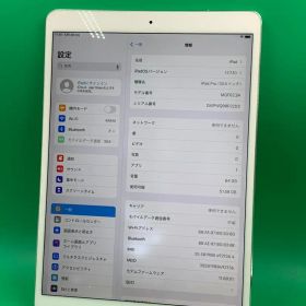 iPad Pro 10.5インチ Cellular 64GB 最大容量100%