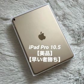 【完動品】iPad Pro 10.5 256GB 【すぐ発送】【付属品】