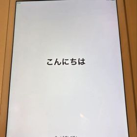 Apple iPad Air 第一世代 32GB【美品】