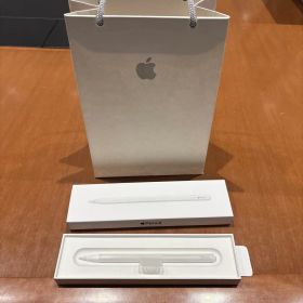 Apple Pencil USB-C 第1世代 アップルペンシル 箱付き 袋付き