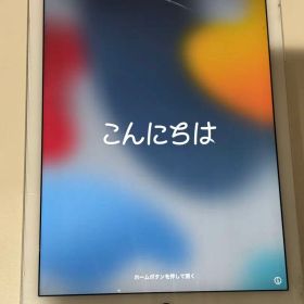 iPad Air 2 タブレット 本体 apple