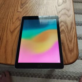 Apple iPad(128GB) Wifi Model 第6世代