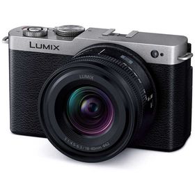 パナソニック Panasonic ミラーレス一眼カメラ LUMIX S9 広角ズームレンズキット DC-S9N-S ダークシルバー
