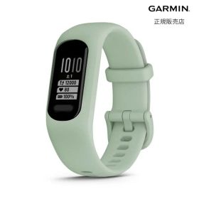 【ガーミン 国内正規品】GARMIN vivosmart 5 Mint S/M 010-02645-62 GPS 心拍計 防水 Suica対応 送料無料 ポイント ライフログ トレーニング