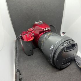 Nikon D5500+レンズ2本セット