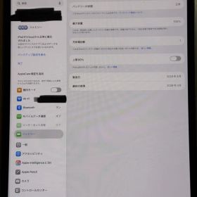 新品 Care付きiPad Pro 13インチ M4 2TB セルラー
