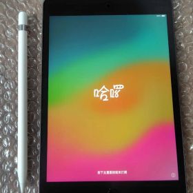iPad mini 第5世代 スペースグレイ Apple Pencil