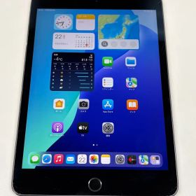 iPad mini (第5世代) Wi-Fi 256GB スペースグレイ【動作確認・初期化済み】