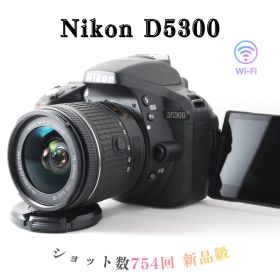 【ショット数754回】Nikon D5300✨極美品 Wi-Fi バリアングル