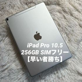 【完動品】iPad Pro 10.5 256GB 【即発送】【付属品】