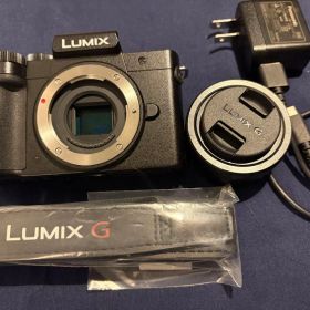 LUMIX DC-G100 ミラーレス一眼