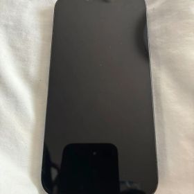 Apple iPhone 13 Pro シエラブルー 256GB