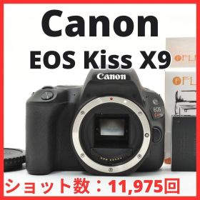 D18[7470]28 キヤノン Canon EOS Kiss X9 ボディ 【ショット数 11，975回】